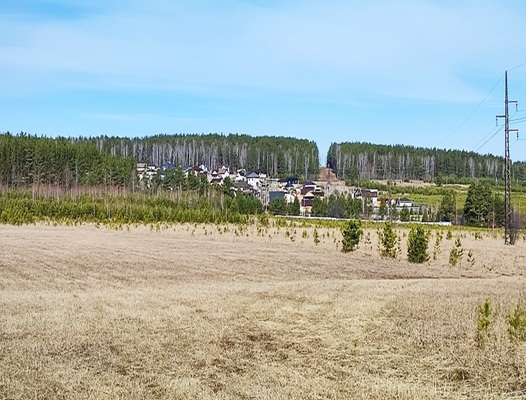 Продам участок 41,8 соток, Фермерское хоз., Комиссарова ул, Бобровский п, 40 км от города