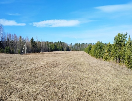 Продам участок 41,8 соток, Фермерское хоз., Комиссарова ул, Бобровский п, 40 км от города