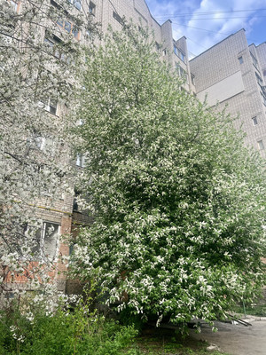 Продам двухкомнатную (2-комн.) квартиру, Профессора Никулина ул, 6, Рязань г