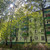 Продам трехкомнатную (3-комн.) квартиру, Кирова ул, 16, Люберцы г