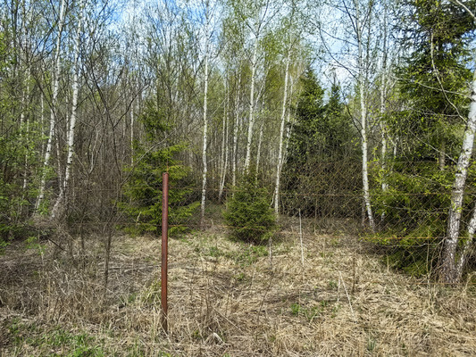 Продам дом, Лесная ул, Арнеево д, 0 км от города
