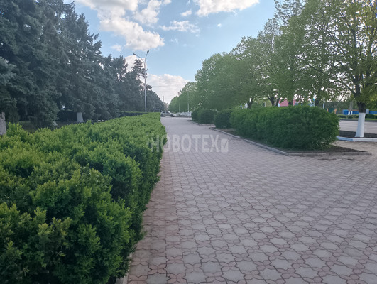 Продам дом, Октябрьская ул, 12, Каневская ст-ца, 0 км от города