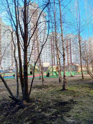 Продам однокомнатную (1-комн.) квартиру, Ленинский пр-кт, 104, Санкт-Петербург г