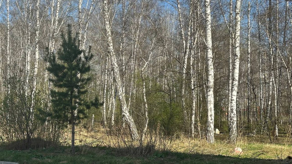 Продам однокомнатную (1-комн.) квартиру, Александра Шмакова ул, 14, Челябинск г