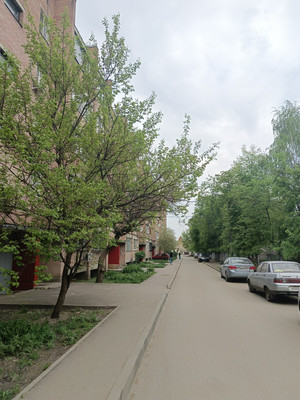 Продам однокомнатную (1-комн.) квартиру, Рижская ул, 8, Воронеж г