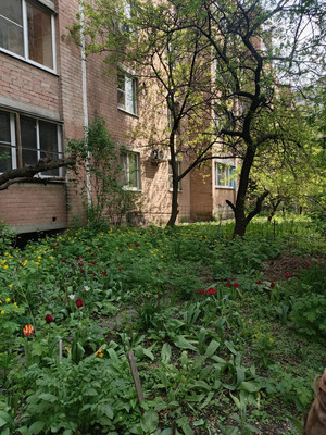 Продам однокомнатную (1-комн.) квартиру, Рижская ул, 8, Воронеж г