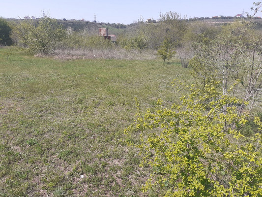 Продам участок 5 соток, Фермерское хоз., Медик снт, Лозовое с, 0 км от города