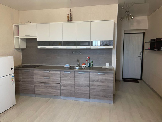 Продам однокомнатную (1-комн.) квартиру, им. Заводовского ул, 23, Российский п