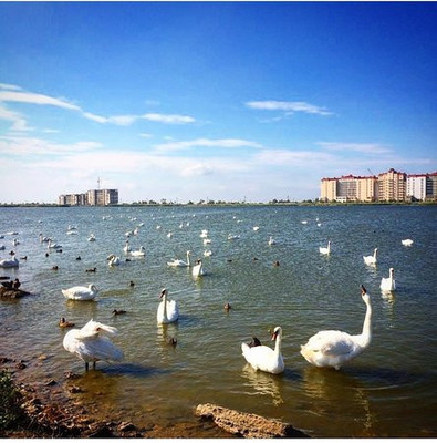 Продам участок 9 соток, ИЖС, Мира ул, Уютное с, 0 км от города