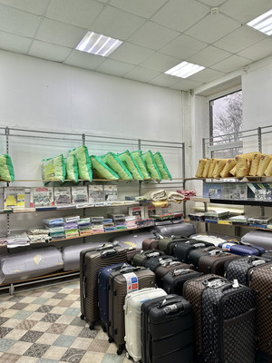 Сдам торговое помещение 242 м2, КИМа пр-кт, 4кВ, Санкт-Петербург г