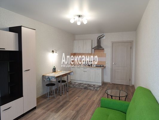 Продам однокомнатную (1-комн.) квартиру, Заводская ул, 18к2, Янино-1 гп