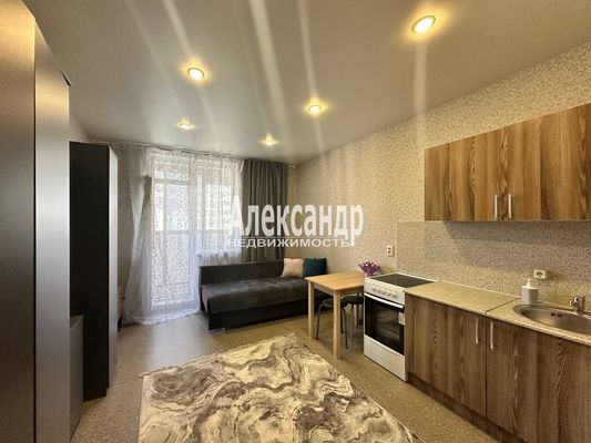 Продам однокомнатную (1-комн.) квартиру, Графская ул, 11, Мурино п