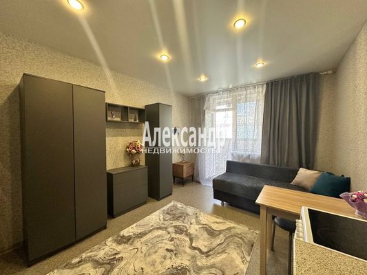Продам однокомнатную (1-комн.) квартиру, Графская ул, 11, Мурино п