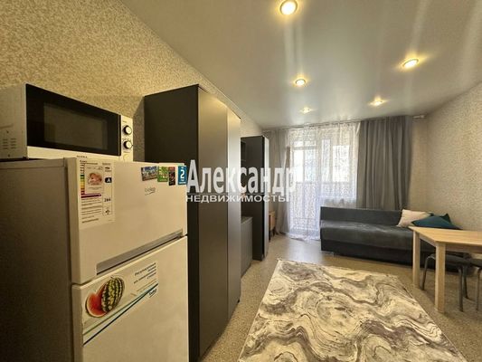 Продам однокомнатную (1-комн.) квартиру, Графская ул, 11, Мурино п