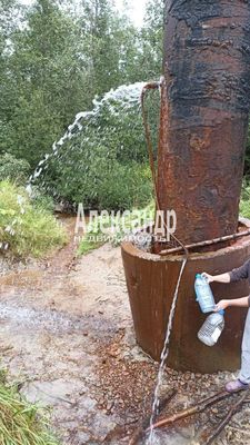Продам дачу в поселке СНТ &amp;quot;Ленвест&amp;quot;, 66, СНТ Ленвест массива Керамик тер, 96 км от города