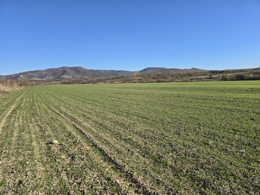 Продам землю для коммерческого использования 5 соток, Фермерское хоз., Курское с