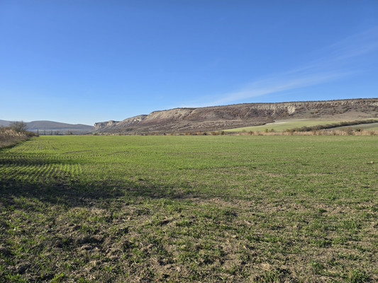 Продам землю для коммерческого использования 5 соток, Фермерское хоз., Курское с