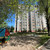Продам однокомнатную (1-комн.) квартиру, Московский пр-кт, 81к2, Брянск г
