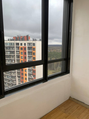 Продам двухкомнатную (2-комн.) квартиру, Авиаторов Балтики пр-кт, 31, Мурино п