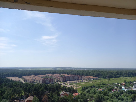 Продам однокомнатную (1-комн.) квартиру, Курыжова (Южный мкр.) ул, 30, Домодедово г