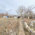 Продам участок 6 соток, Фермерское хоз., Цветочный пер, 28, Морской Чулек х, 0 км от города