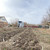 Продам участок 6 соток, Фермерское хоз., Цветочный пер, 28, Морской Чулек х, 0 км от города