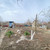 Продам участок 6 соток, Фермерское хоз., Цветочный пер, 28, Морской Чулек х, 0 км от города