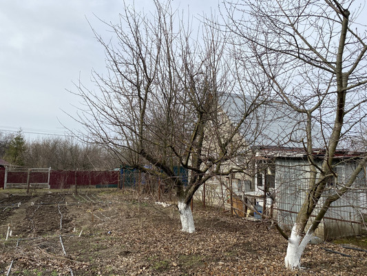 Продам участок 6 соток, Фермерское хоз., Цветочный пер, 28, Морской Чулек х, 0 км от города