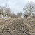 Продам участок 6 соток, Фермерское хоз., Цветочный пер, 28, Морской Чулек х, 0 км от города