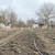 Продам участок 6 соток, Фермерское хоз., Цветочный пер, 28, Морской Чулек х, 0 км от города