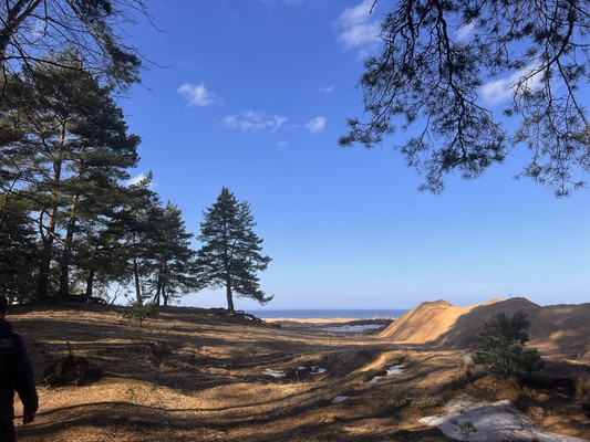 Продам участок 30 соток, ИЖС, Мира ул, Лебяжье гп, 0 км от города