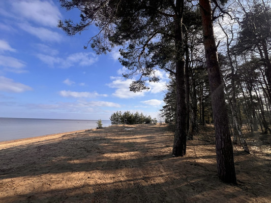 Продам участок 30 соток, ИЖС, Мира ул, Лебяжье гп, 0 км от города