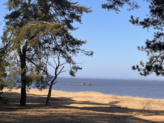 Продам участок 30 соток, ИЖС, Мира ул, Лебяжье гп, 0 км от города