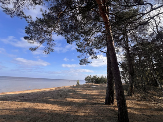 Продам участок 30 соток, ИЖС, Мира ул, Лебяжье гп, 0 км от города