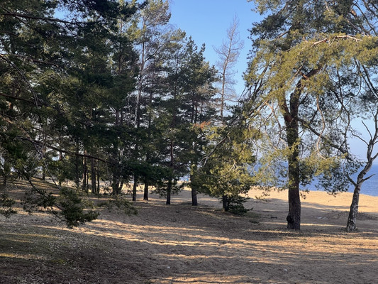 Продам участок 30 соток, ИЖС, Мира ул, Лебяжье гп, 0 км от города