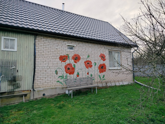 Продам дом, 1кв, Сельцо-Шатерно д, 0 км от города