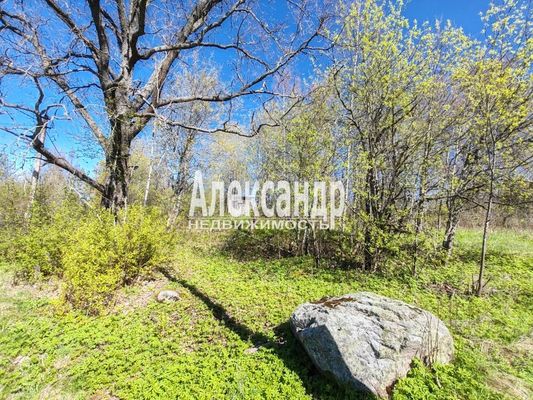 Продам дом, Озерная ул, д. 2, Поддубье (Оредежское с/п) д, 149 км от города