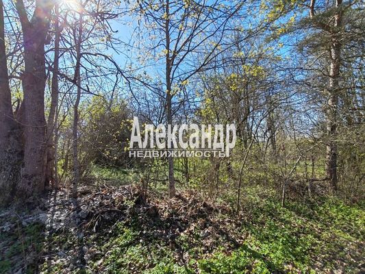 Продам дом, Озерная ул, д. 2, Поддубье (Оредежское с/п) д, 149 км от города