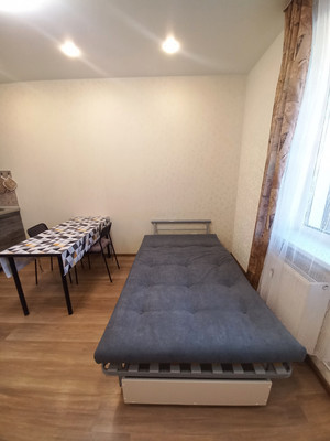 Сдам однокомнатную (1-комн.) квартиру, Пражская ул, 4, Кудрово г