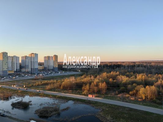 Продам многокомнатную квартиру, Муринская дор, 14к2, Санкт-Петербург г