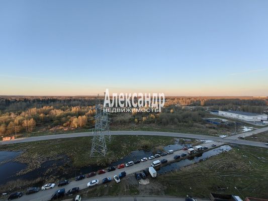 Продам многокомнатную квартиру, Муринская дор, 14к2, Санкт-Петербург г