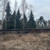 Продам участок 16 соток, Фрунзе ул, Ильинский рп, 0 км от города