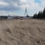 Продам участок 10 соток, ИЖС, Юности ул, Кирби с, 0 км от города