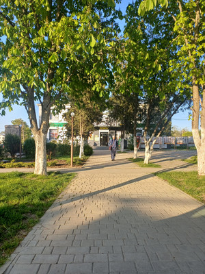 Продам однокомнатную (1-комн.) квартиру, Советская ул, 276, Чистенькое с