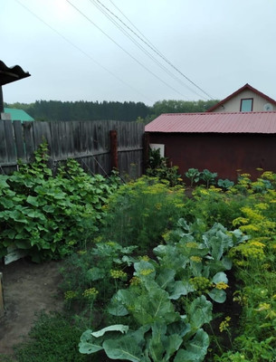 Продам дом, Джамбула ул, 3, Ишим г, 0 км от города