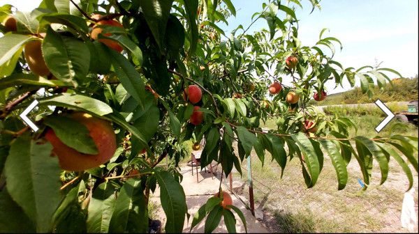 Продам дом, Гоголя ул, Белореченск г, 0 км от города