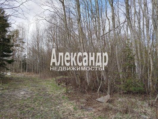Продам участок 11 соток, ИЖС, Сергеевская ул, Судаково п, 120 км от города