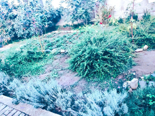 Продам дом, Лаврова (Нижний казачий хутор тер. ДНТ) ул, 1, Краснодар г, 0 км от города