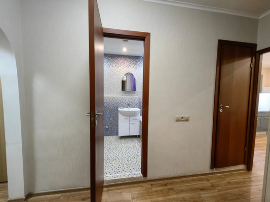 Продам однокомнатную (1-комн.) квартиру, Богатырский пр-кт, 58Ак4, Санкт-Петербург г