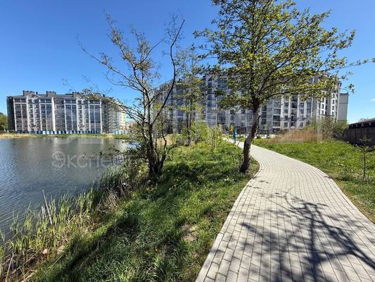 Продам однокомнатную (1-комн.) квартиру, Тургенева ул, 16А , Зеленоградск г